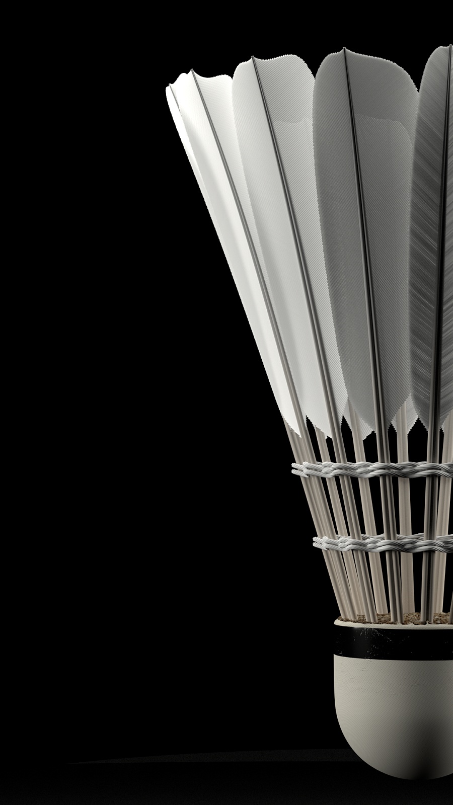 的活动范围 的活动范围